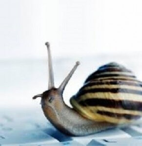 slow